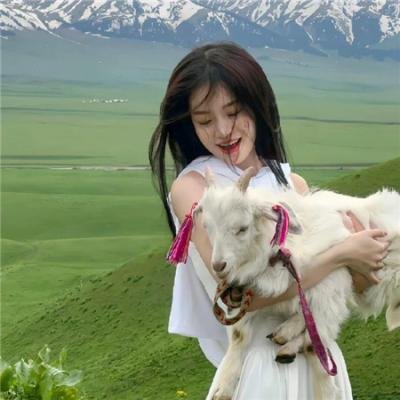 齐姆与友 在线观看封面